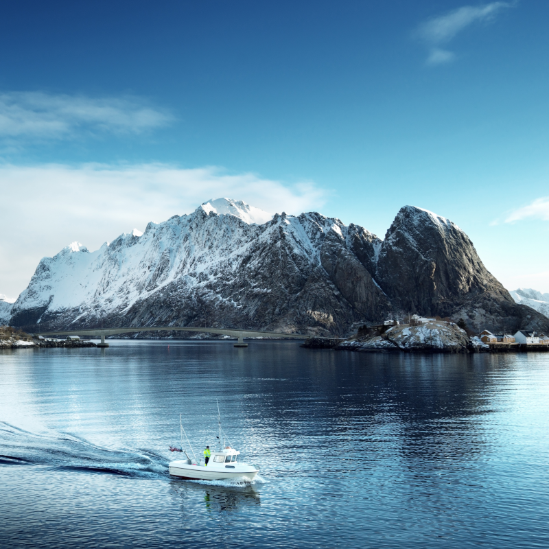 Lofoten Winter Mobile omega-3 vegan algae ocean