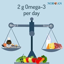 ENG Um Das Omega 6 3 Verhältnis Auszugleichen Sollten 2 G Omega 3 Pro Tag Eingenommen Werden