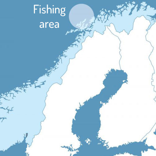 Arktis Fishing Area oilive trees olive oil norsan omega-3